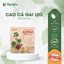 CAO CÀ GAI LEO AGRIPHA